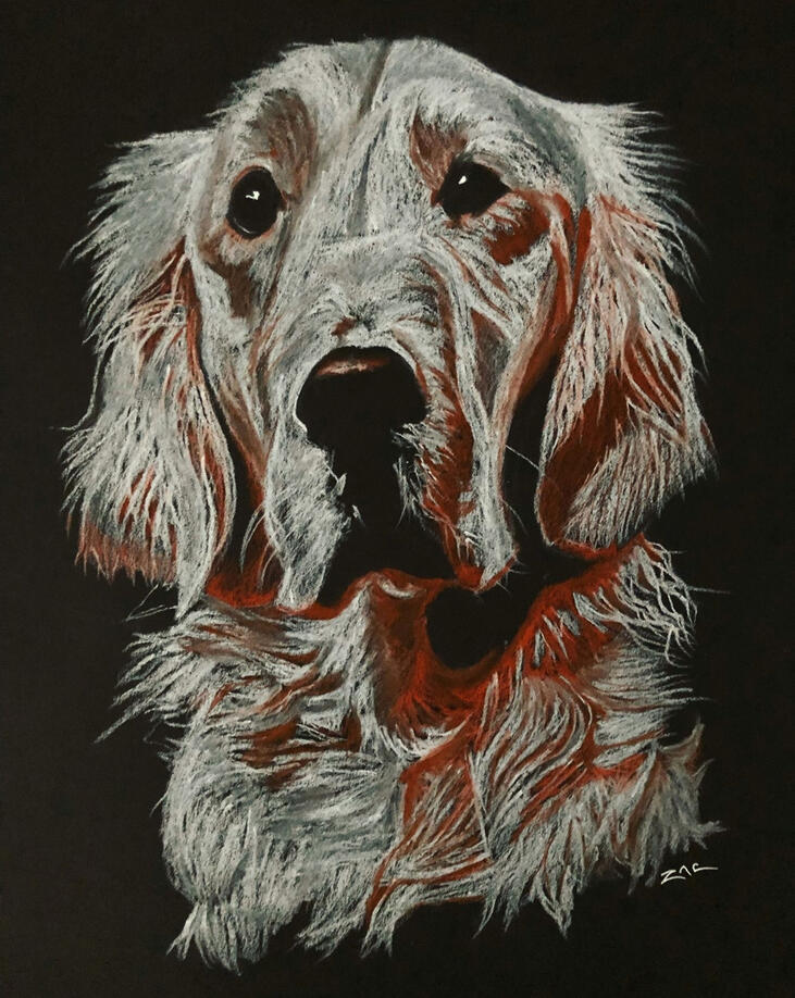 Portrait 5